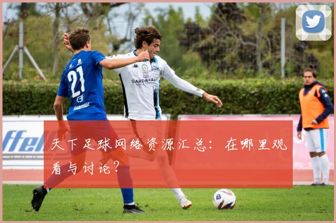 天下足球网络资源汇总：在哪里观看与讨论？
